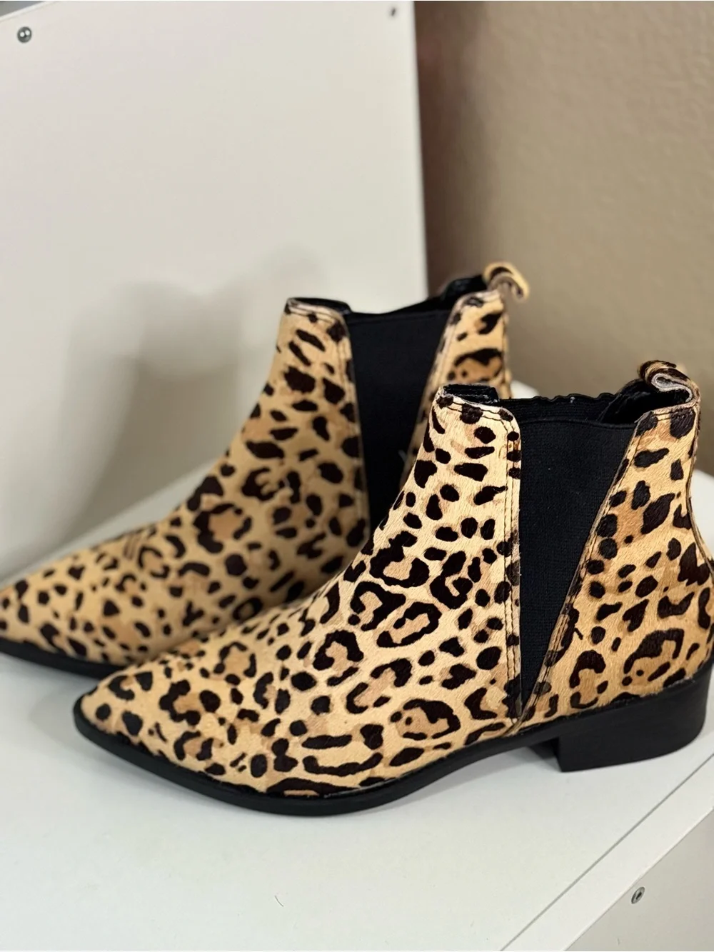 Steve Madden Leopard Print Chelsea Ankle Boots - Beige/Black